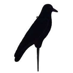 Чучело подсадное Tanglefree Crow ворона черная в интернет-магазине охотничьих товаров - купить в Москве с доставкой по России