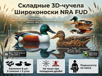 Комплект чучел уток NRA FUD Northern Shoveler (Широконоска)