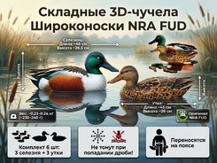 Комплект чучел уток NRA FUD Northern Shoveler (Широконоска) в интернет-магазине охотничьих товаров - купить в Москве с доставкой по России